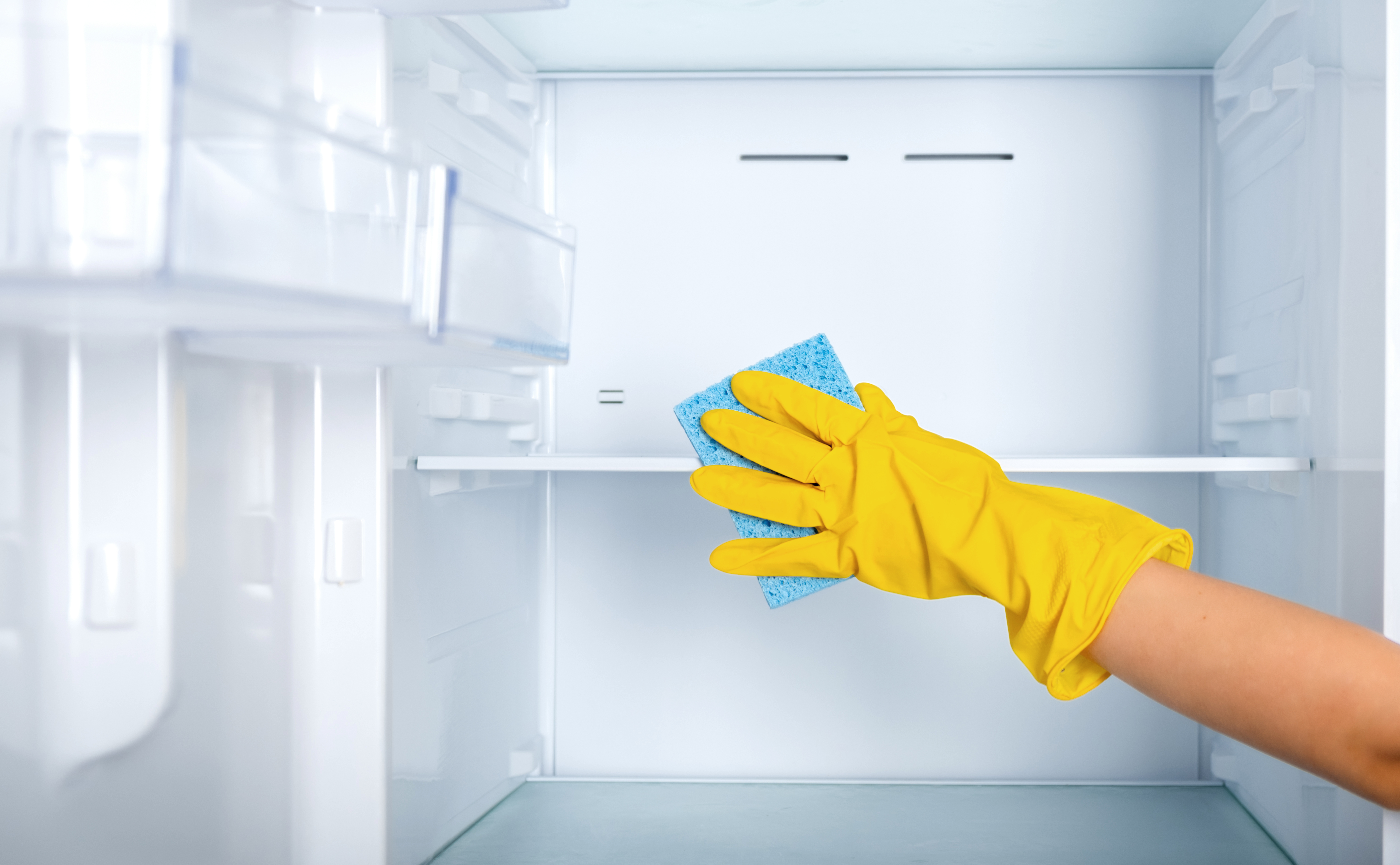 Fridge Deep Cleaning Services
